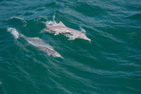 North Stradbroke Island Private Tour With Pickup - Accommodation Coffs Harbour 0