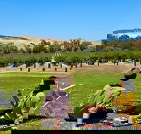 Private Picnic and Wine Tasting Experience in Barossa Valley - Accommodation Coffs Harbour