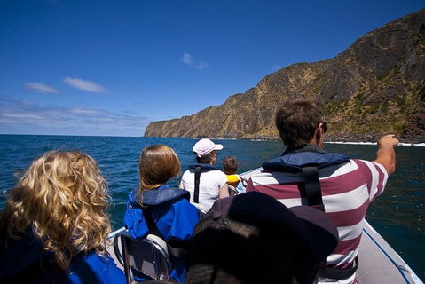 Seal Island Boat Tour From Victor Harbor - Accommodation Coffs Harbour 0