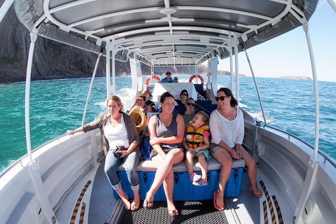 Seal Island Boat Tour From Victor Harbor - Accommodation Coffs Harbour 1