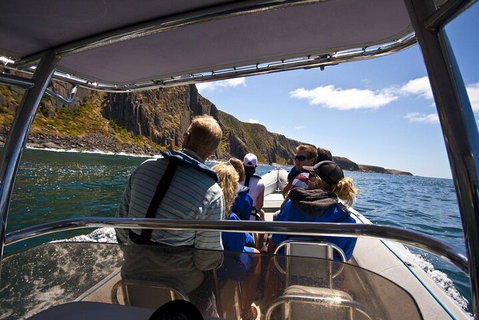 Seal Island Boat Tour From Victor Harbor - Accommodation Coffs Harbour 2