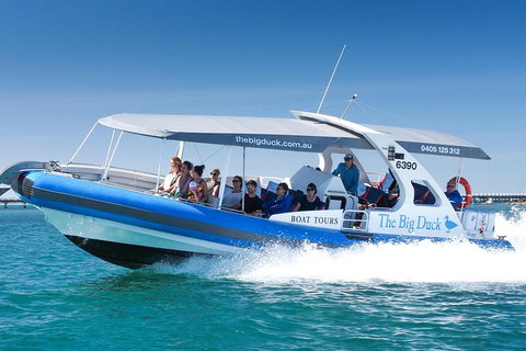 Seal Island Boat Tour From Victor Harbor - Accommodation Coffs Harbour 3