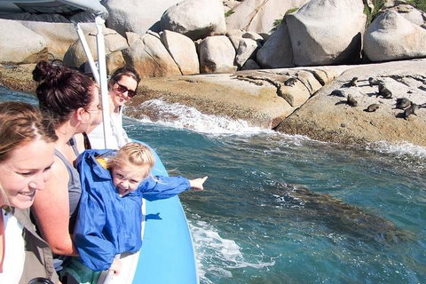 Seal Island Boat Tour From Victor Harbor - Accommodation Coffs Harbour 4