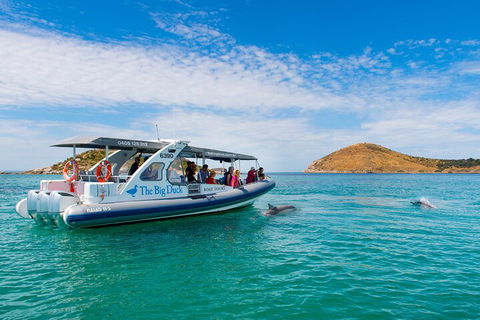 Southern Ocean Adventure From Victor Harbor - Accommodation Coffs Harbour 1