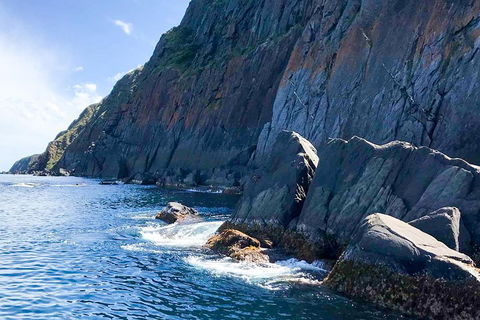 Southern Ocean Adventure From Victor Harbor - Accommodation Coffs Harbour 3