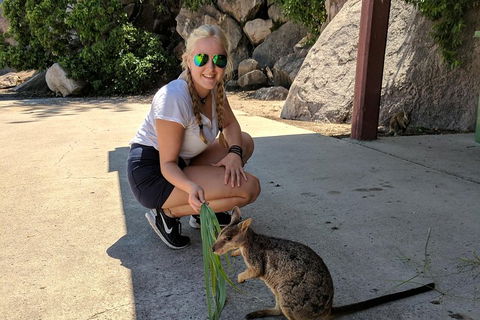 Magnetic Island Tour: Maggie Comprehensive - Accommodation Coffs Harbour 2
