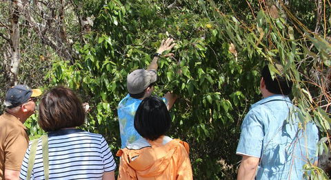 Magnetic Island Tour: Maggie Comprehensive - Accommodation Coffs Harbour 4