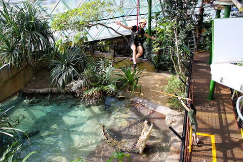 Cairns ZOOM And Wildlife Dome - Accommodation Coffs Harbour 5