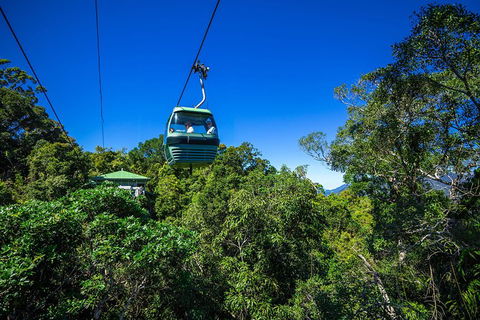 Classic Kuranda By Skyrail And Scenic Railway Including Rainforestation, Koala And Wildlife Park And Pamagirri Aboriginal Experi - Accommodation Coffs Harbour 0