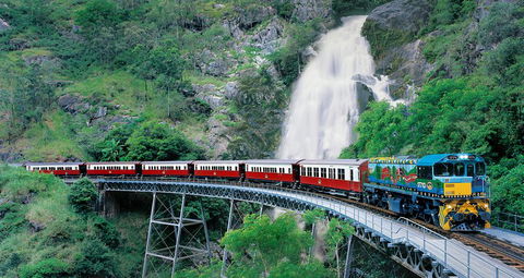 Classic Kuranda By Skyrail And Scenic Railway Including Rainforestation, Koala And Wildlife Park And Pamagirri Aboriginal Experi - Accommodation Coffs Harbour 1