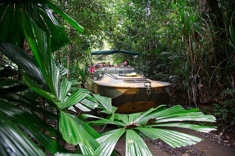 Classic Kuranda By Skyrail And Scenic Railway Including Rainforestation, Koala And Wildlife Park And Pamagirri Aboriginal Experi - Accommodation Coffs Harbour 4