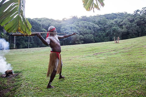 Classic Kuranda By Skyrail And Scenic Railway Including Rainforestation, Koala And Wildlife Park And Pamagirri Aboriginal Experi - Accommodation Coffs Harbour 5