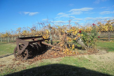 Swan Valley Tour From Perth: Wine, Beer And Chocolate Tastings - Accommodation Coffs Harbour 3