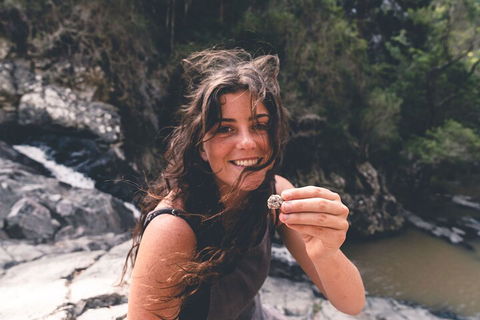 Springbrook AndTamborine Rainforest Tour Incl Natural Bridge And Glow Worm Cave - Accommodation Coffs Harbour 1