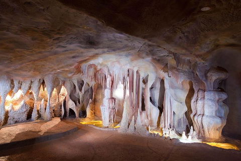 Springbrook AndTamborine Rainforest Tour Incl Natural Bridge And Glow Worm Cave - Accommodation Coffs Harbour 4