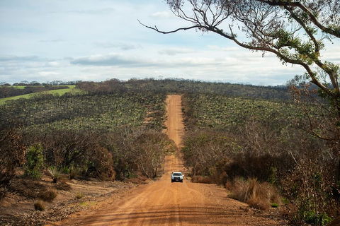 NEW TOUR - Kangaroo Island Road To Recovery Tour (1 Day/1 Night) - Accommodation Coffs Harbour 2
