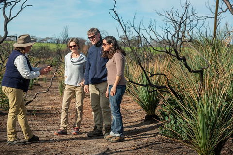 NEW TOUR - Kangaroo Island Road To Recovery Tour (1 Day/1 Night) - Accommodation Coffs Harbour 4