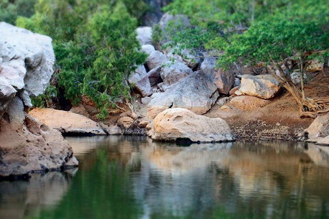 Windjana Gorge And Tunnel Creek 4WD Tour From Broome - Accommodation Coffs Harbour 5