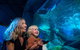 SEA LIFE Sunshine Coast Aquarium Entrance Ticket - thumb 0
