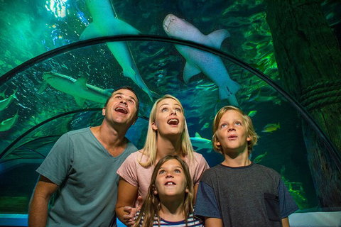 SEA LIFE Sunshine Coast Aquarium Entrance Ticket - Accommodation Coffs Harbour 3