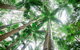 Fraser Explorer K'gari 2-Day Tour - thumb 2