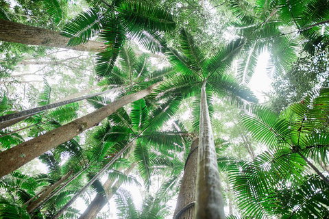 Fraser Explorer K'gari 2-Day Tour - Accommodation Coffs Harbour 2