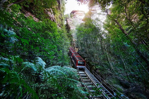 Private Blue Mountains Tour - Accommodation Coffs Harbour 0