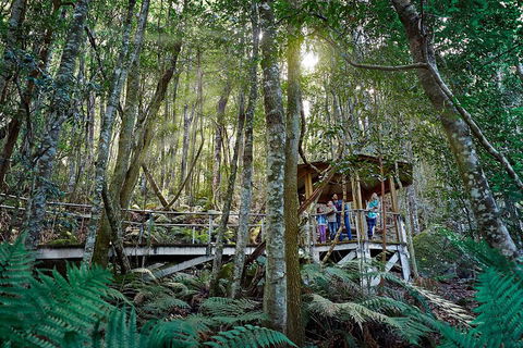 Private Blue Mountains Tour - Accommodation Coffs Harbour 4