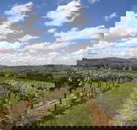 Hunter Valley Wine Tour from Sydney incl Lunch Cheese Chocolate and Distillery - Accommodation Coffs Harbour