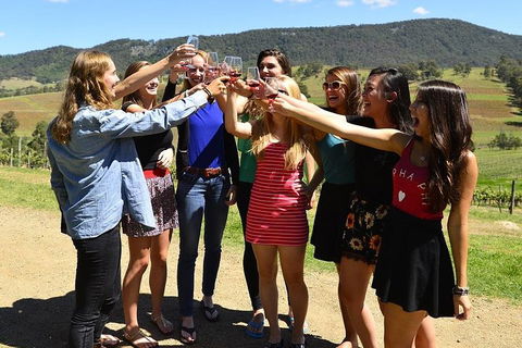 Hunter Valley Wine Tour From Sydney Incl Lunch, Cheese, Chocolate And Distillery - Accommodation Coffs Harbour 3