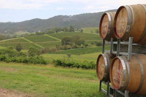 Hunter Valley Wine Tour From Sydney Incl Lunch, Cheese, Chocolate And Distillery - Accommodation Coffs Harbour 5