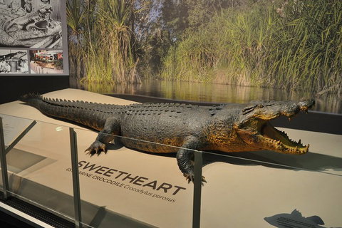 Explore Darwin City Sights Including Key Attractions - Accommodation Coffs Harbour 2