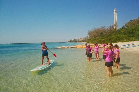 Golden Beach 1-Hour Stand-Up Paddleboard Hire On The Sunshine Coast - Accommodation Coffs Harbour 1